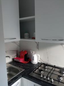 eine Küche mit einem Kochfeld und einem Waschbecken in der Unterkunft Cuore e Sole - Attico Monolocale con Parcheggio Privato A 5 minuti dal centro in Sanremo