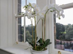 eine Vase mit weißen Blumen auf einem Fensterbrett in der Unterkunft Loftus Old Bank in Loftus