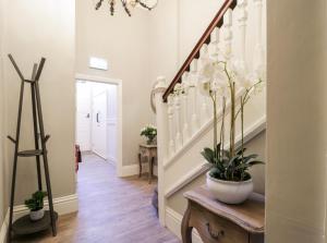 Photo de la galerie de l'établissement Loftus Old Bank, à Loftus 63 autres photos