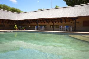 une piscine avec des chaises bleues et un bâtiment dans l'établissement Tamanini Timbavati Lodge, à Hoedspruit