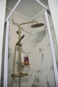 a shower with a glass door and a shower head at ViLLETTA CLAUDETTA in Laveno-Mombello