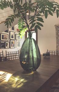ロダルキラルにあるCasa Marleneの植物をテーブルに乗せた緑の花瓶