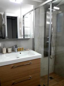 ein Bad mit einem Waschbecken und einer Dusche in der Unterkunft City apartment 17 in Athen