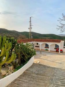 une maison avec un bouquet de cactus devant dans l'établissement Cortijo Grande Studio, à Rubite 23 autres photos