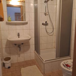 uma casa de banho com um chuveiro, um lavatório e um WC. em Almgasthof Spitzer em Sankt Stefan ob Leoben