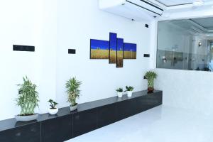 an office with potted plants on a white wall at Jaffna Inn in Jaffna