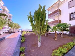 En have udenfor Tropicalidays Costa Mar