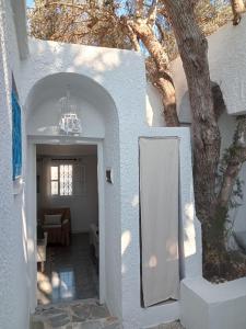a white hallway with a tree and a door at Maison à Sidi Bou Said in Sidi Bou Saïd