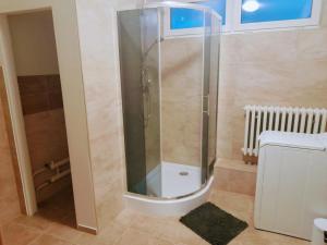 a shower with a glass door in a bathroom at LEV I SOVA in Mělník