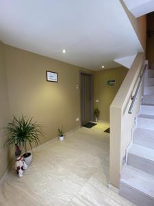 a hallway with stairs and plants in a house at One Room Studio in Râşnov +1 photo