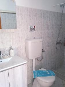 a bathroom with a white toilet and a sink at FLOWERS STUDIOS in Skala