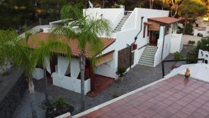 an aerial view of a house with a palm tree at Villa Crimi in Vulcano