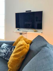Televízia a/alebo spoločenská miestnosť v ubytovaní Bon Blois, cosy et charmant face à la Loire