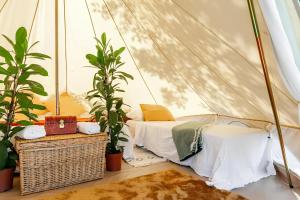 a bedroom with a bed in a tent at Ganzo - Tuscany Retreat in Massarosa