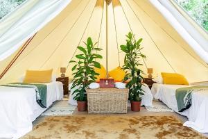 two beds in a tent with two plants at Ganzo - Tuscany Retreat in Massarosa