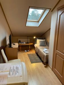 a attic bedroom with a bed and a skylight at Hotel Jerevan in Druskininkai