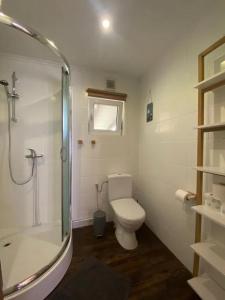 uma casa de banho com um WC e uma cabina de duche em vidro. em Bieszczadzka przystań na Cyplu Werlas em Werlas