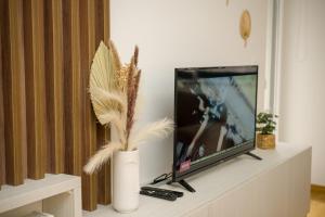 a living room with a tv and a vase with feathers at Apartment Infinity in Kruševac