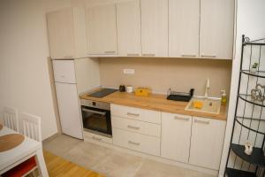 Kuchyň nebo kuchyňský kout v ubytování Apartment Infinity