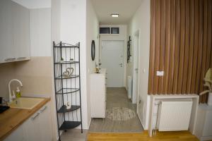 Kuchyň nebo kuchyňský kout v ubytování Apartment Infinity