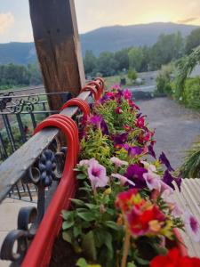 une rangée de bancs fleuris sur un balcon dans l'établissement בוסתן החורש, à Haïfa