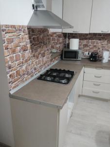 a kitchen with a brick wall and a stove top oven at Casa Antonia in Timişoara