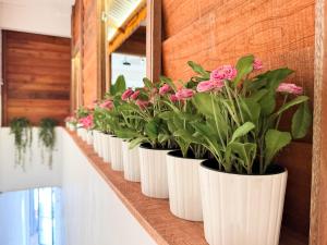 a row of white vases filled with pink flowers on a counter at Inang Street Stay - Cheng Business Park in Melaka