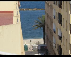 a view of the ocean from a building with a palm tree at Martinete Beach Garrucha a 130m de la playa in Garrucha