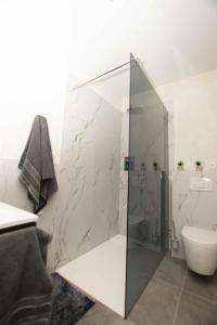 y baño con ducha de cristal y aseo. en Moderne Wohnung mit Panorama, en Schneppenbach