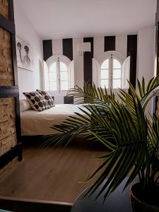 - une chambre avec un lit et une plante en pot dans l'établissement Sevilla Centro Casa Del Pop, à Séville