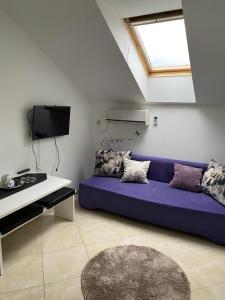 een woonkamer met een paarse bank en een tv bij RIVIERA APARTS in Ðenovići