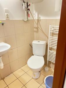 ein Bad mit einem WC und einem Waschbecken in der Unterkunft Ubytování Sýkora Apartments in Veľký Meder