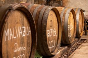 Fotografie z fotogalerie ubytování Wine House Rakar v destinaci Gračišče