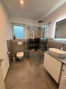 a bathroom with a shower and a toilet and a sink at Ferienhaus H-Auszeit in Fichtelberg