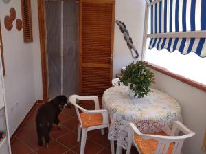 een zwarte hond die naast een tafel en stoelen staat bij Ibiscus Casa Marina in Campomarino