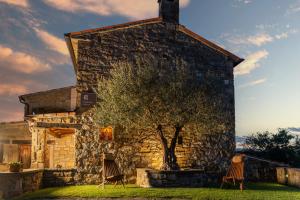 Zahrada ubytování Wine House Rakar