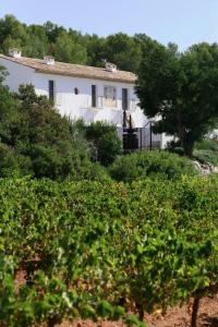 a white house on a hill with trees and bushes at Villa Masia Capdet in Sant Pere de Ribes