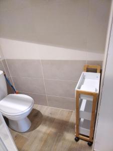 a bathroom with a toilet and a sink at Studio moderne 2 personnes in Villeneuve-sur-Yonne