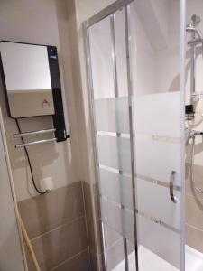 a shower with a glass door in a bathroom at Studio moderne 2 personnes in Villeneuve-sur-Yonne