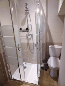 a bathroom with a shower and a toilet at Studio moderne 2 personnes in Villeneuve-sur-Yonne