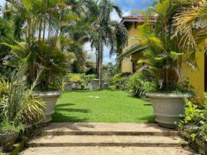 un jardín con palmeras y una casa amarilla en Nidahasa Heritage Villa Wadduwa, en Wadduwa