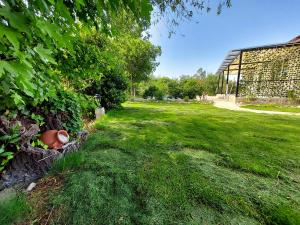 Fotografie z fotogalerie ubytování Villa ChatterForest Dalyan v destinaci Ortaca