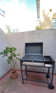 - un barbecue installé sur une terrasse à côté d'une plante dans l'établissement Alma de playa, à Mar del Plata