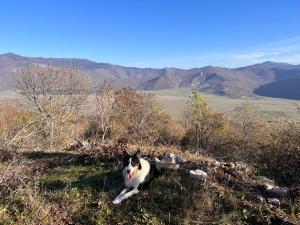 Príroda v okolí hotela