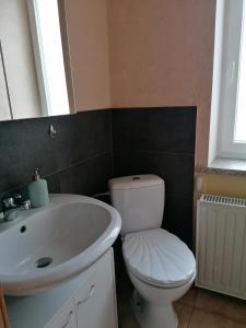 La salle de bains est pourvue de toilettes blanches et d'un lavabo. dans l'établissement Schöne Wohnung im Herzen von Burgstädt, à Burgstaedt