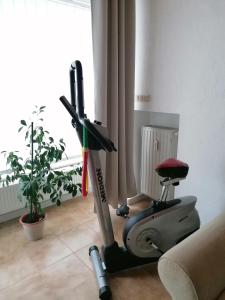 a treadmill in a living room with a plant and a window at Schöne Wohnung im Herzen von Burgstädt in Burgstaedt
