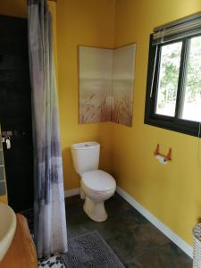 ein Bad mit einem WC, einem Waschbecken und einem Fenster in der Unterkunft le domaine de jade in Rivière du Mât-les Hauts
