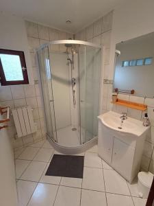 uma casa de banho com um chuveiro e um lavatório. em Le Refuge Martin em Les Mazures