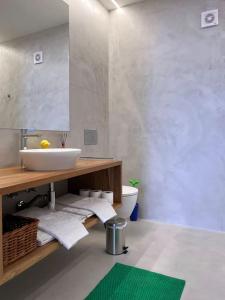カステロ・デ・ヴィデにあるCasa Alta T0の洗面台とトイレ付きのバスルーム