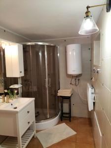 a bathroom with a shower and a sink at Nad Potokiem in Grąziowa
